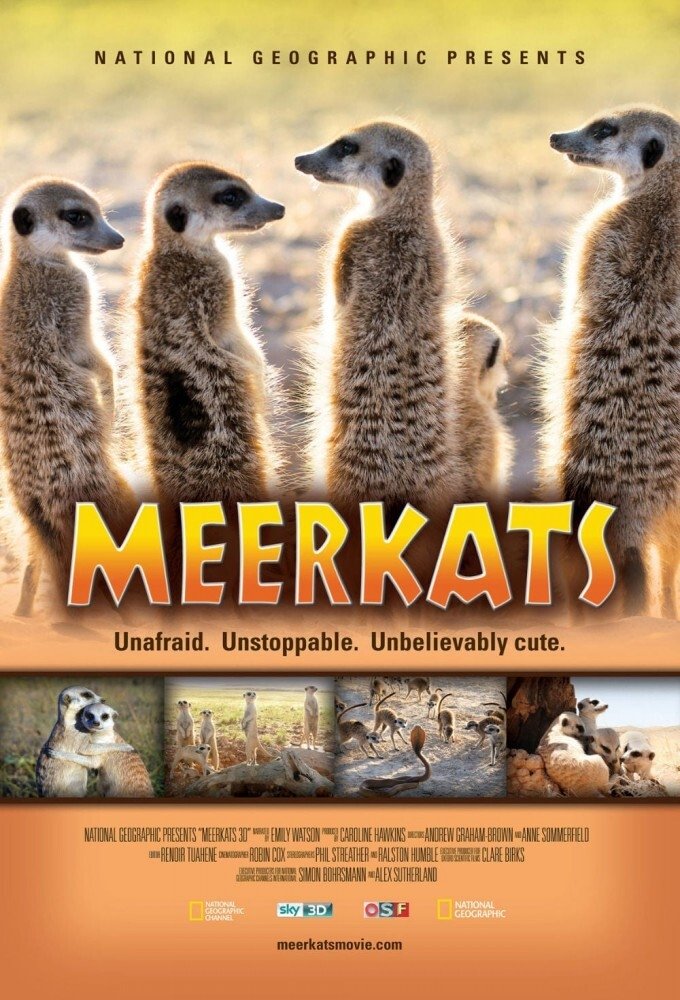Постер Meerkats 3D